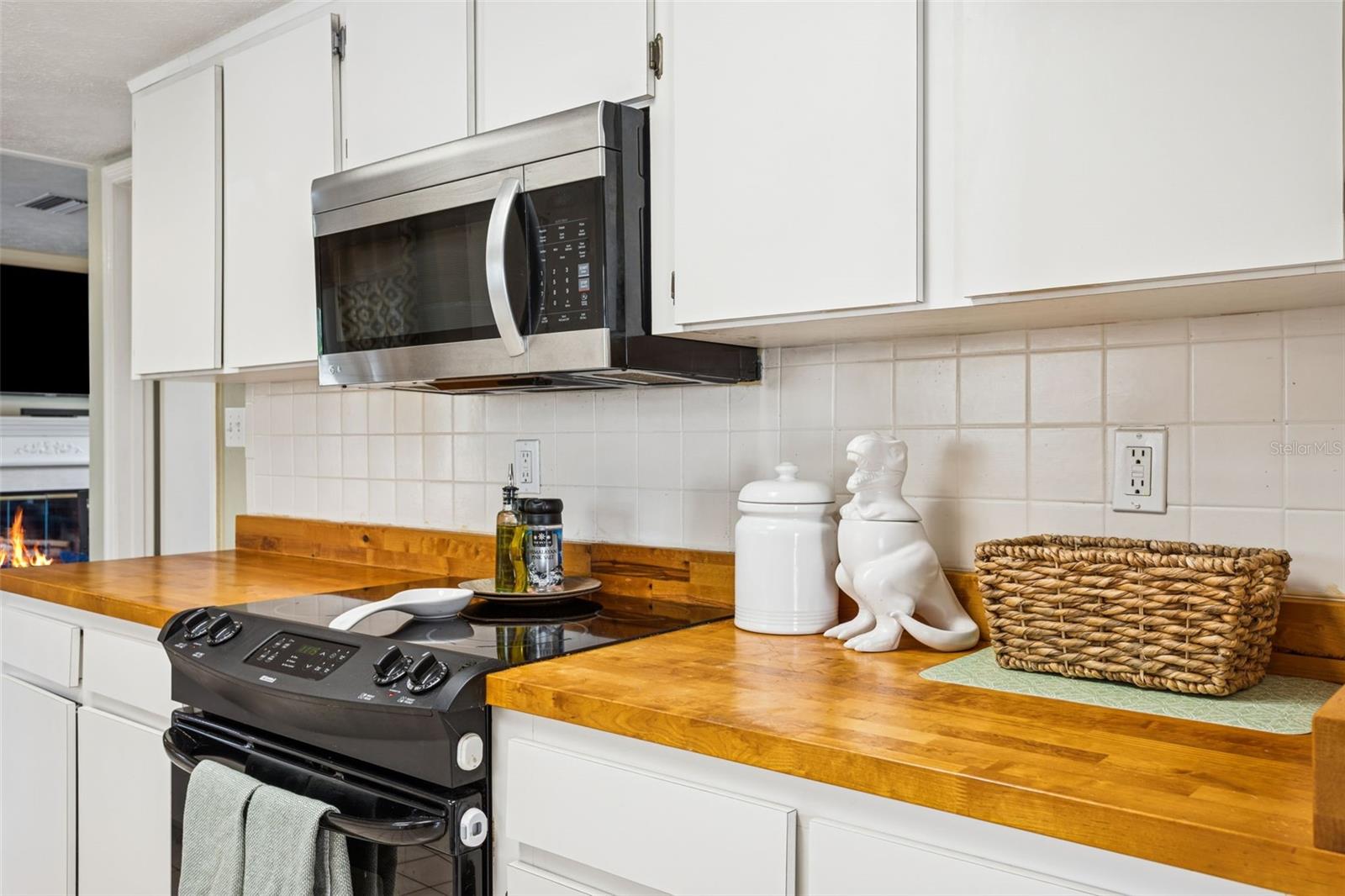 TEMPLE TERRACE ESTATES - Residential