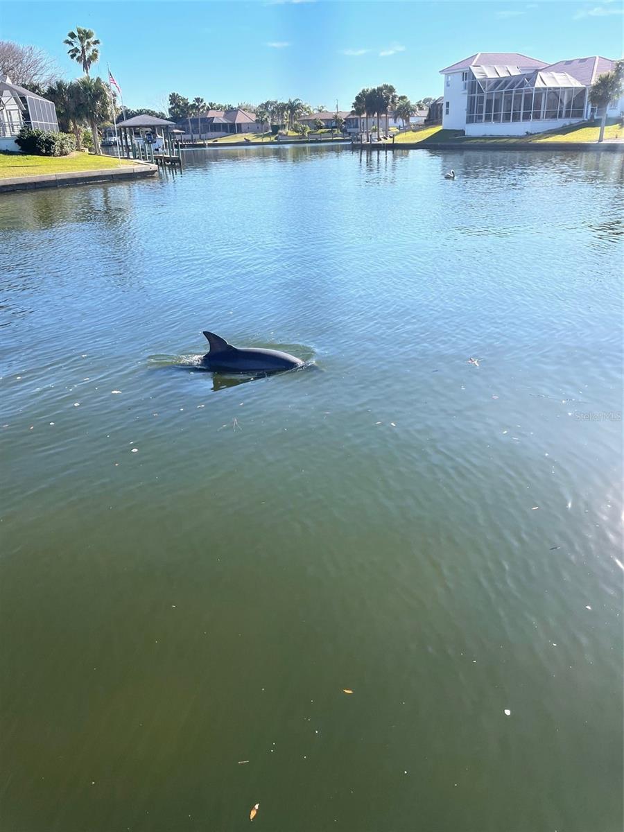 PALM COAST SEC 15 - Residential