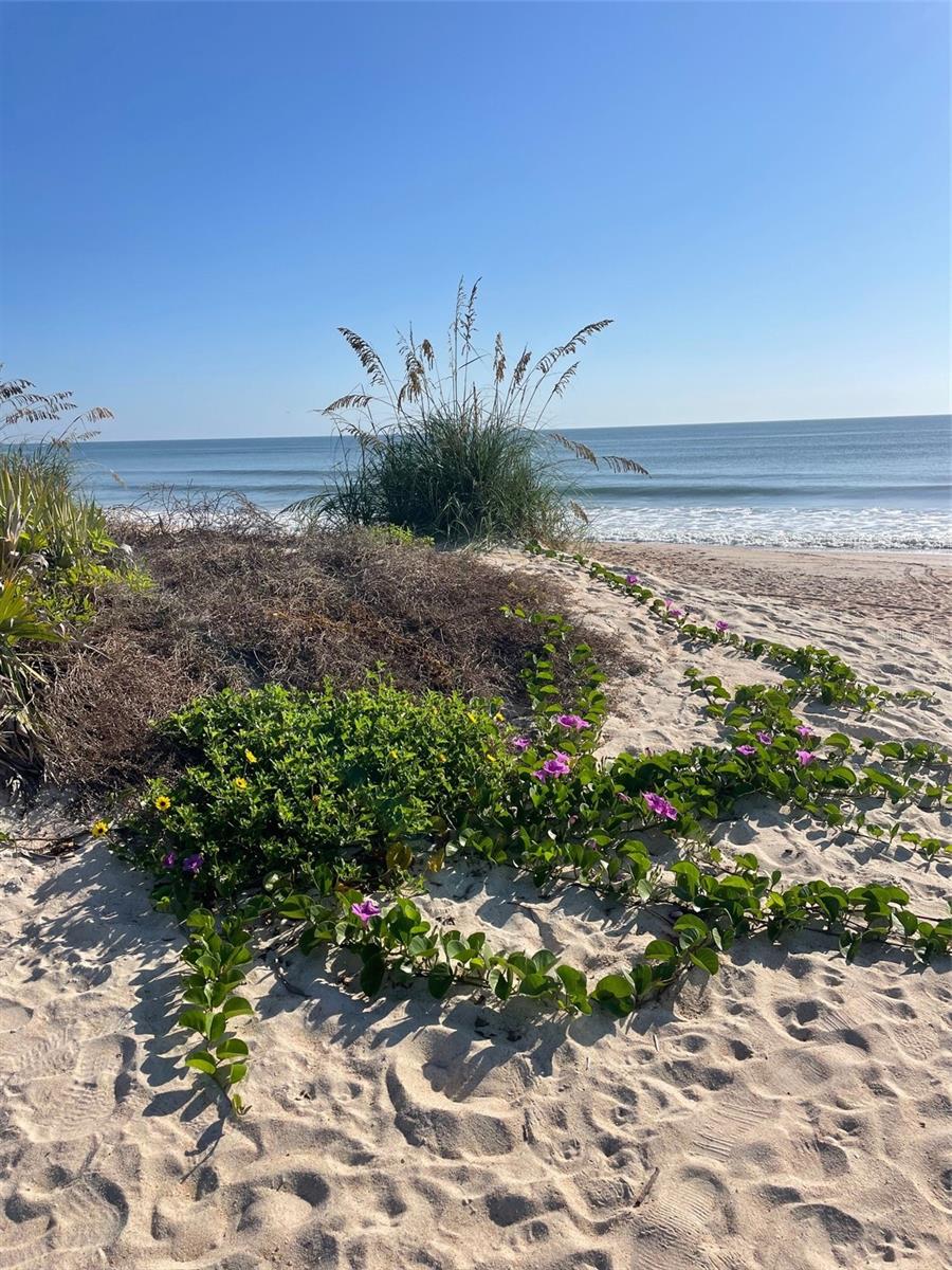 PALM COAST SEC 15 - Residential