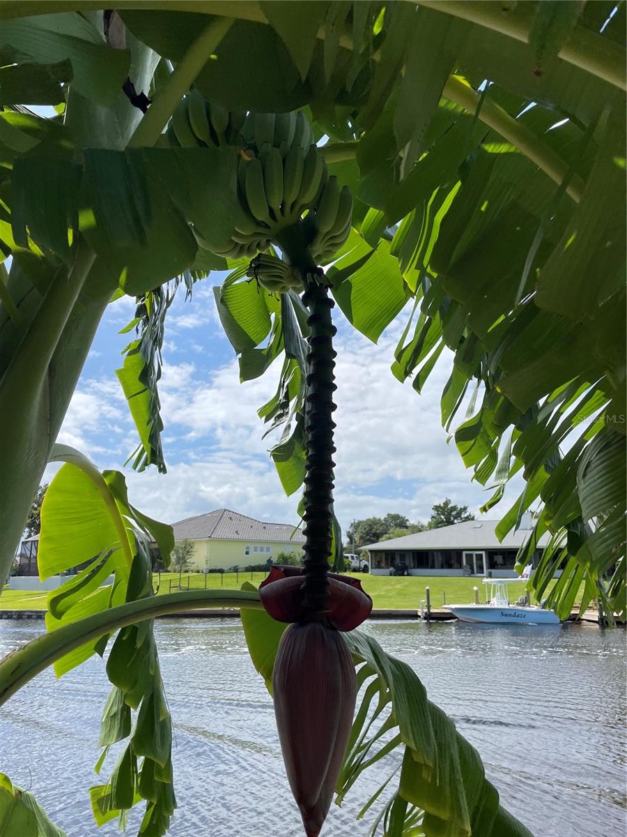 PALM COAST SEC 15 - Residential