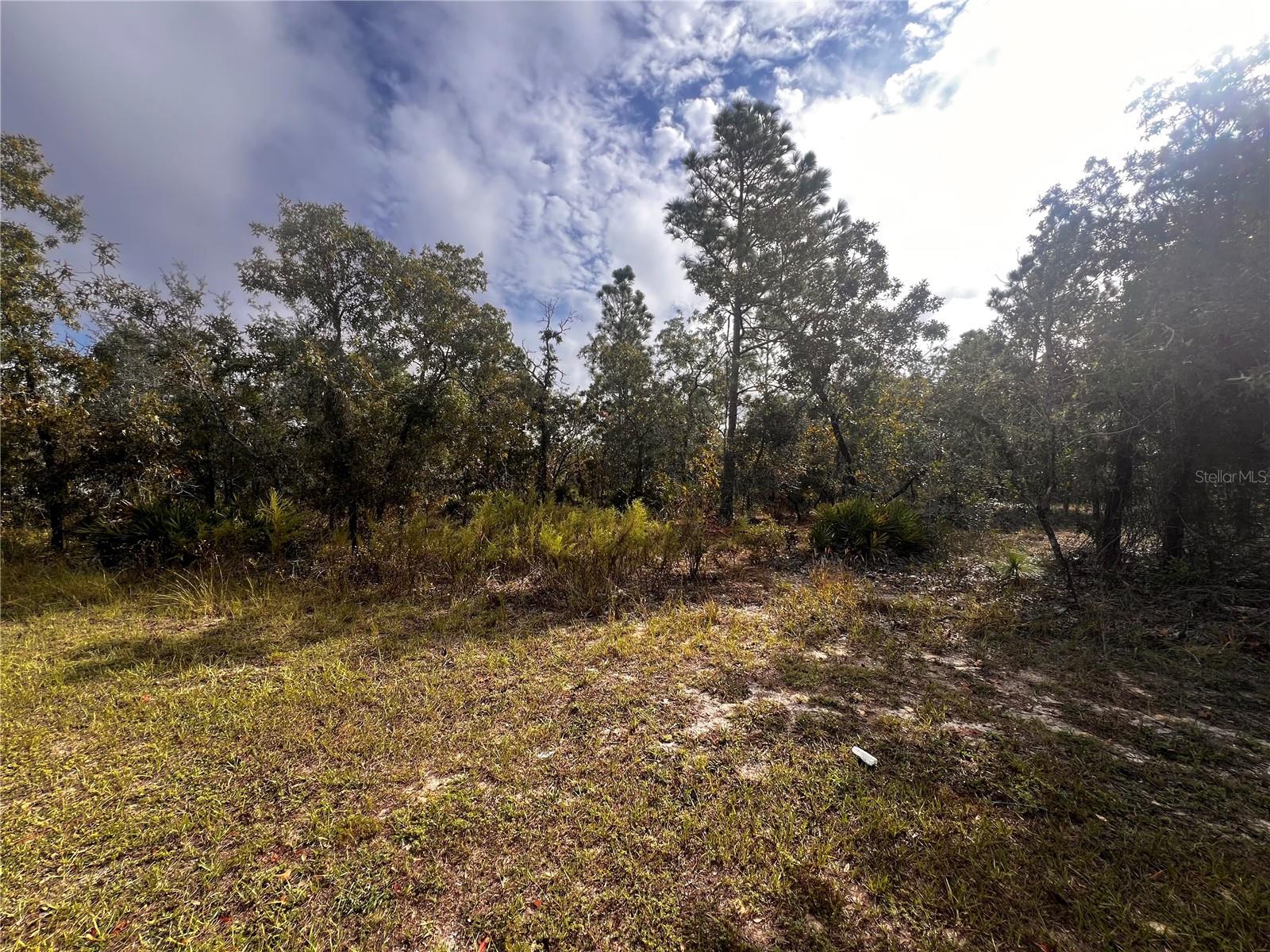 11290 LAPWING ROAD