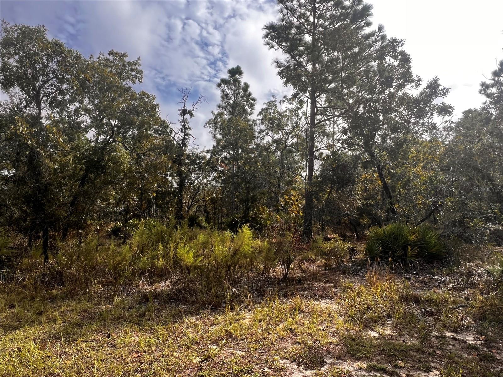 11290 LAPWING ROAD