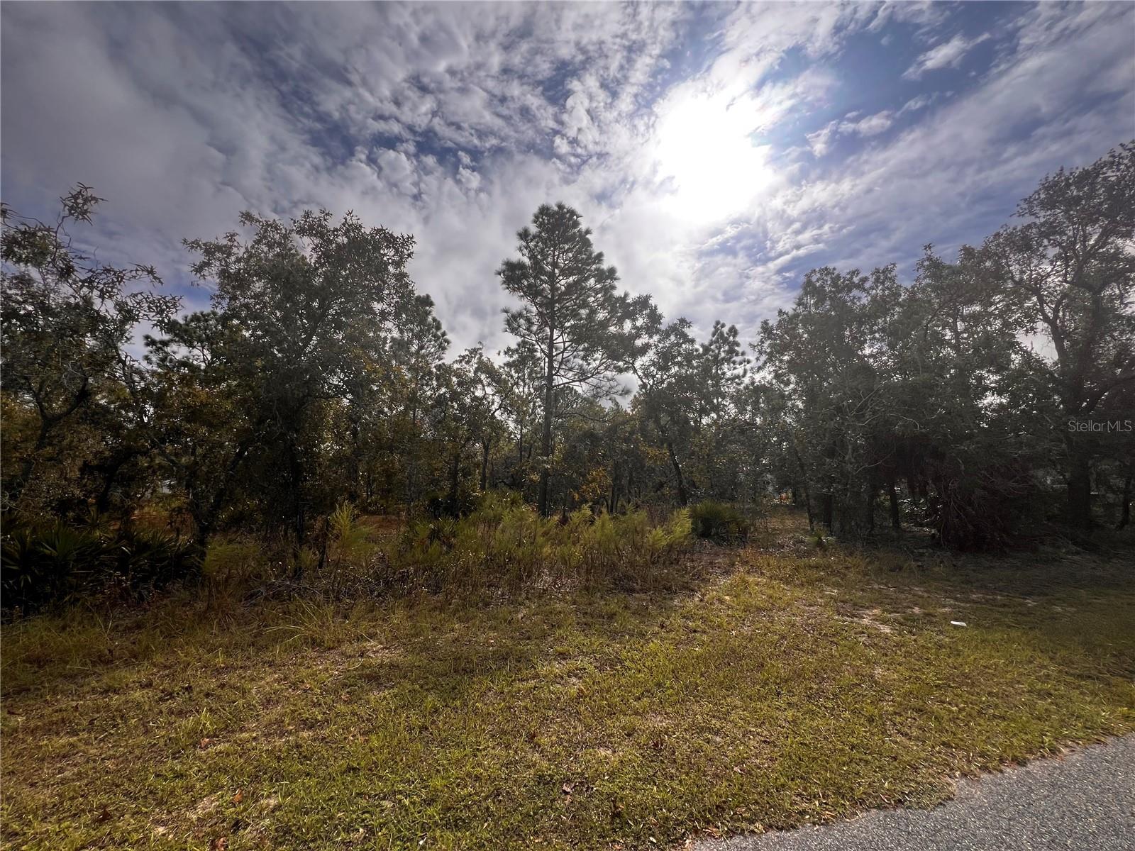 11290 LAPWING ROAD