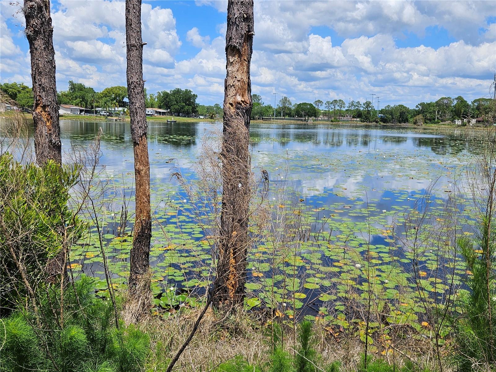 DELTONA LAKES UNIT 74 - Residential