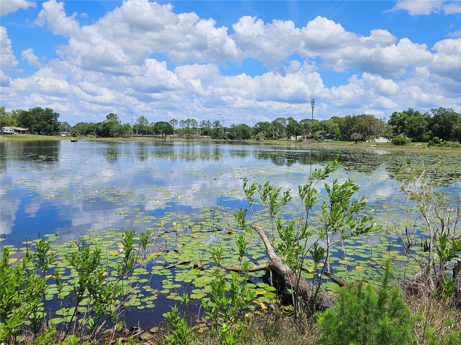 DELTONA LAKES UNIT 74 - Residential