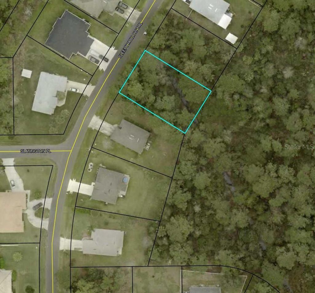 Photo of 7 Sleepy Hollow Trail, Palm Coast, FL 32164 (MLS # TB8483641)