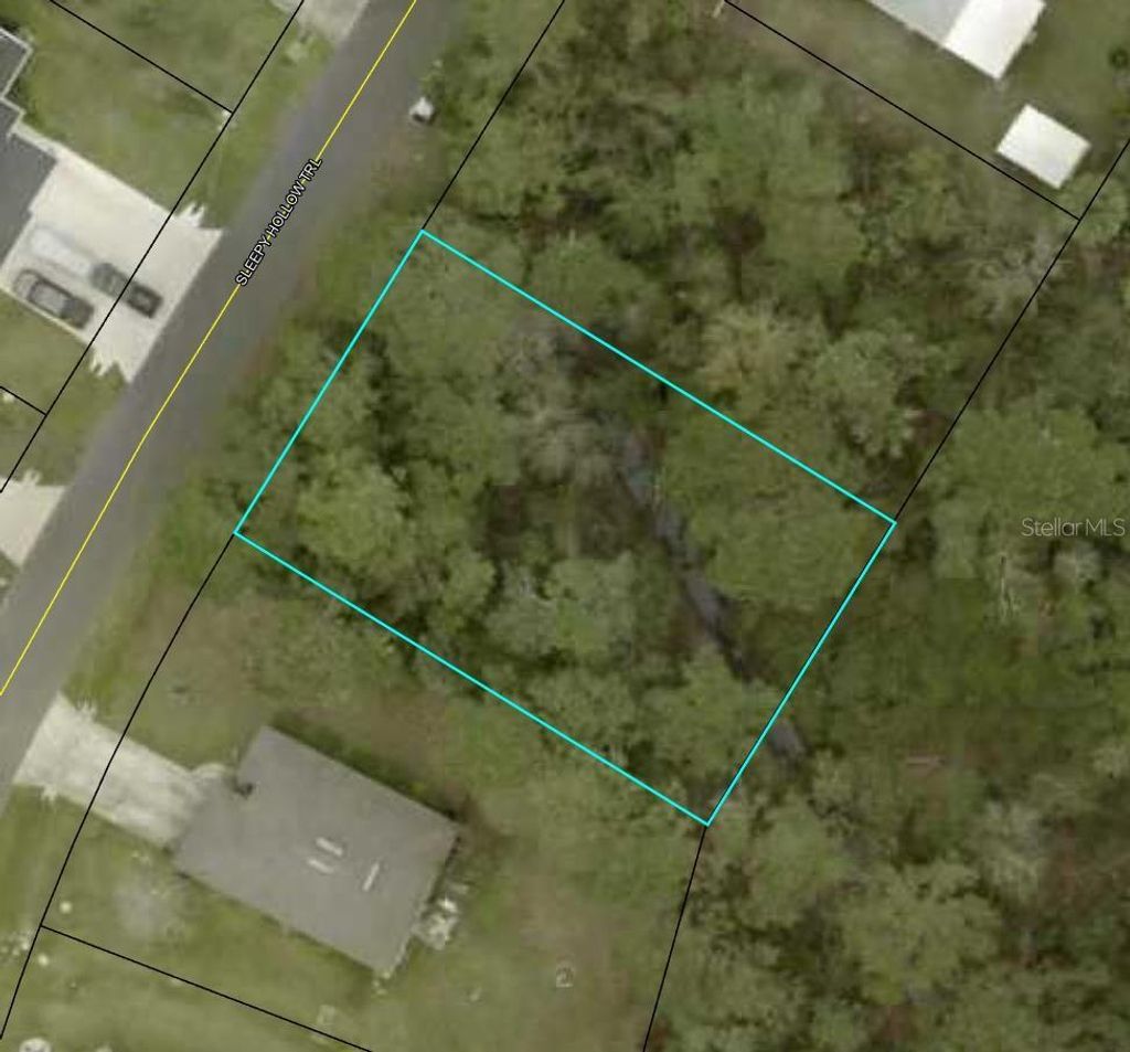 Photo of 7 Sleepy Hollow Trail, Palm Coast, FL 32164 (MLS # TB8483641)