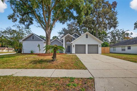 1254 WINDSOR WAY LUTZ FL 33559