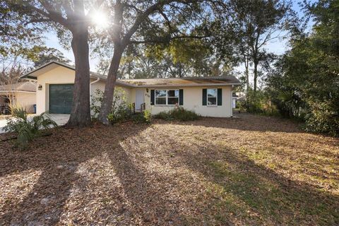 A home in ORANGE CITY