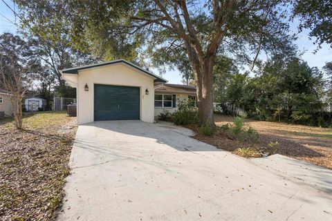 A home in ORANGE CITY