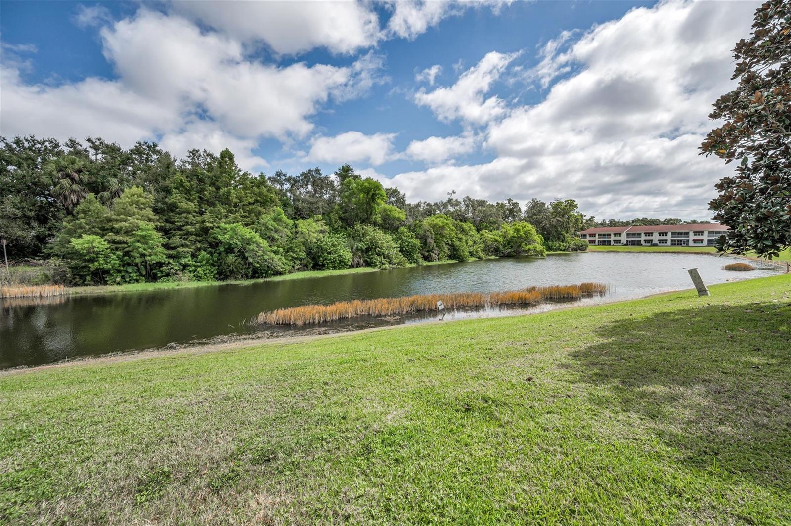 EAST BAY GOLF VILLAS AT WATER VIEW CONDO - Residential