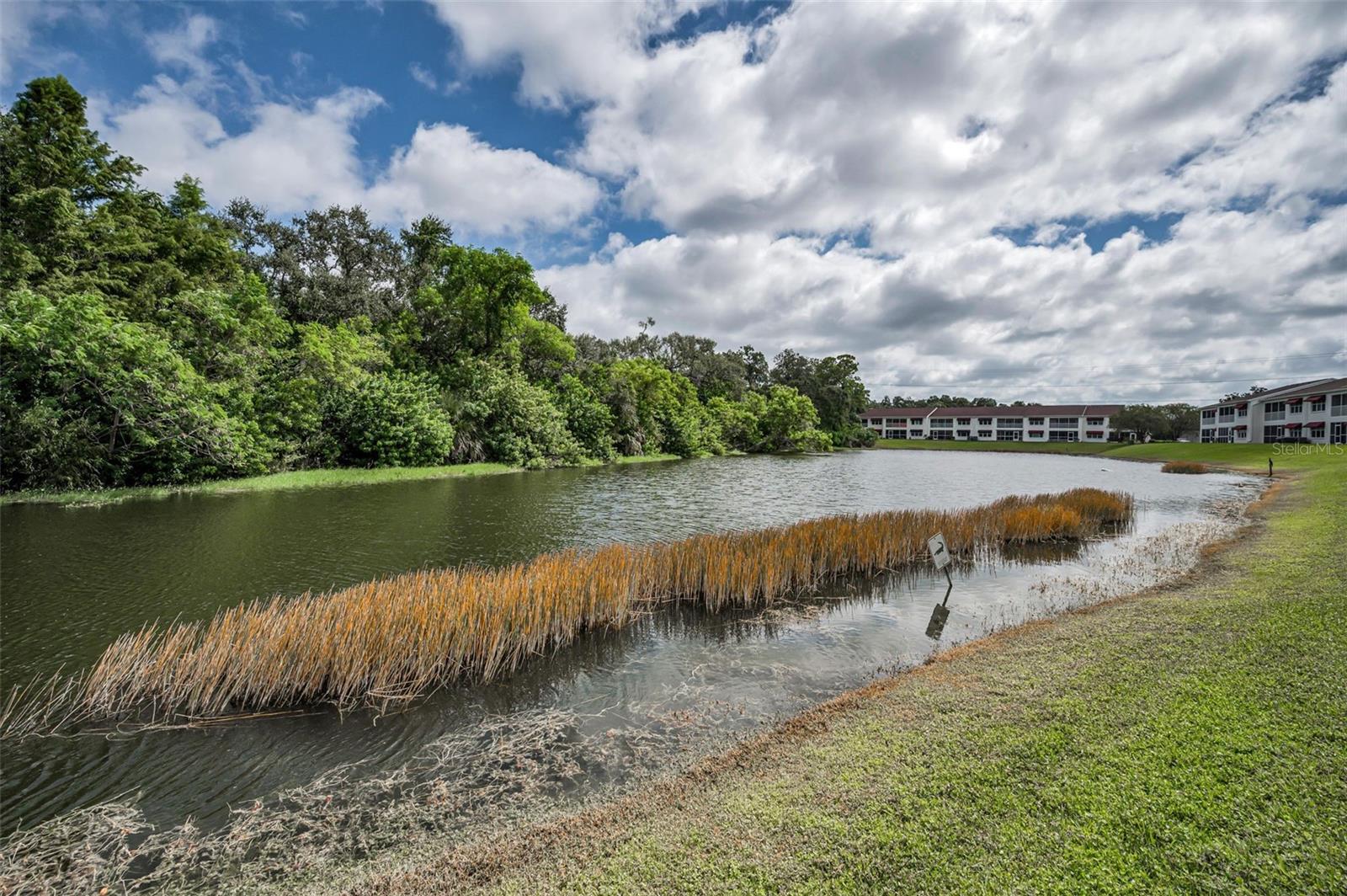 EAST BAY GOLF VILLAS AT WATER VIEW CONDO - Residential