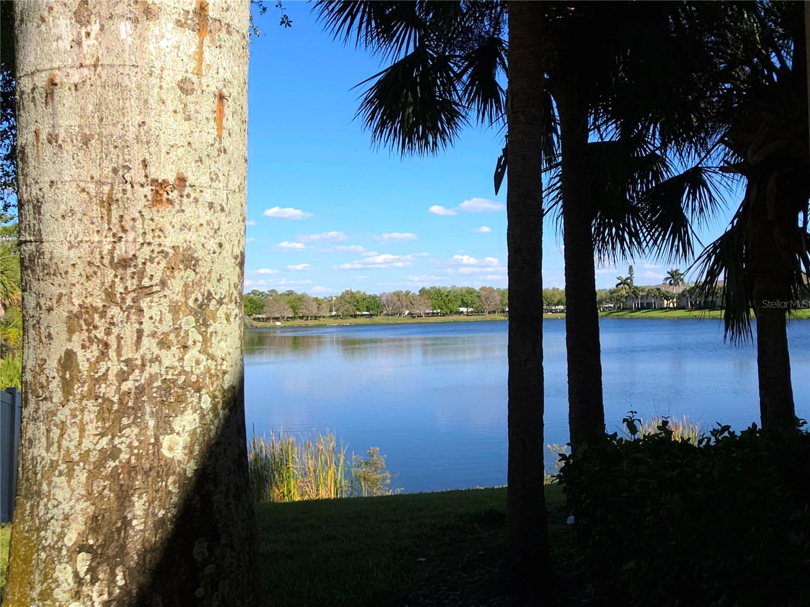 LAKESIDE VILLAGE TOWNHOME - Residential