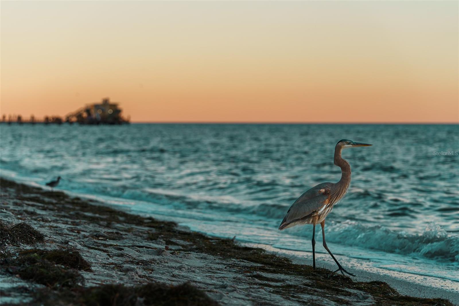 ANNA MARIA BEACH - Residential