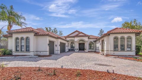 Photo of 1022 Emerald Creek Drive, Valrico, FL 33596 (MLS # TB8484278)