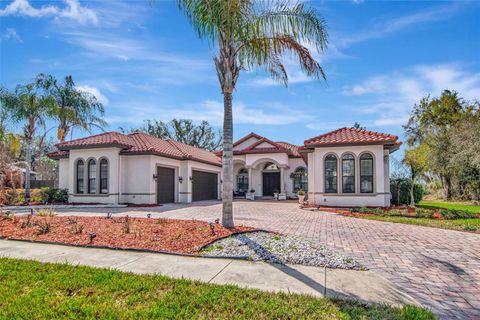 1022 EMERALD CREEK DRIVE VALRICO FL 33596