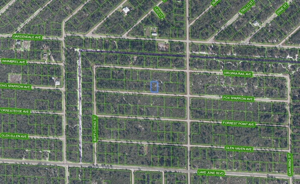 Photo of 3509 Spoonbill Avenue, Lake Placid, FL 33852 (MLS # D6149200)