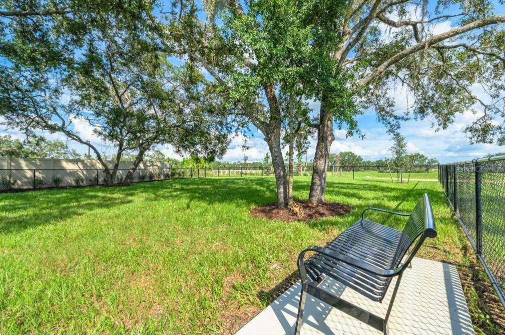 PALM WIND - Residential