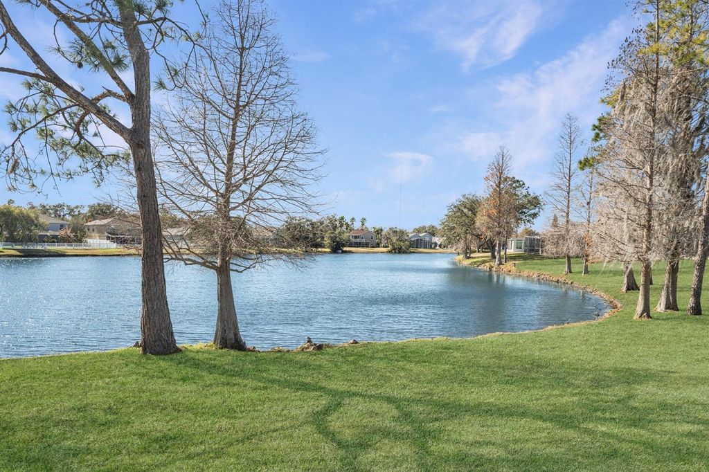 Photo of 5837 Heronpark Place, Lithia, FL 33547 (MLS # TB8472318)