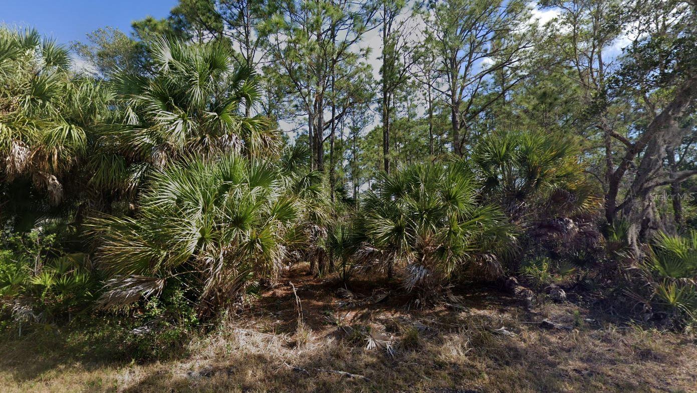 PORT CHARLOTTE SEC 029 - Land