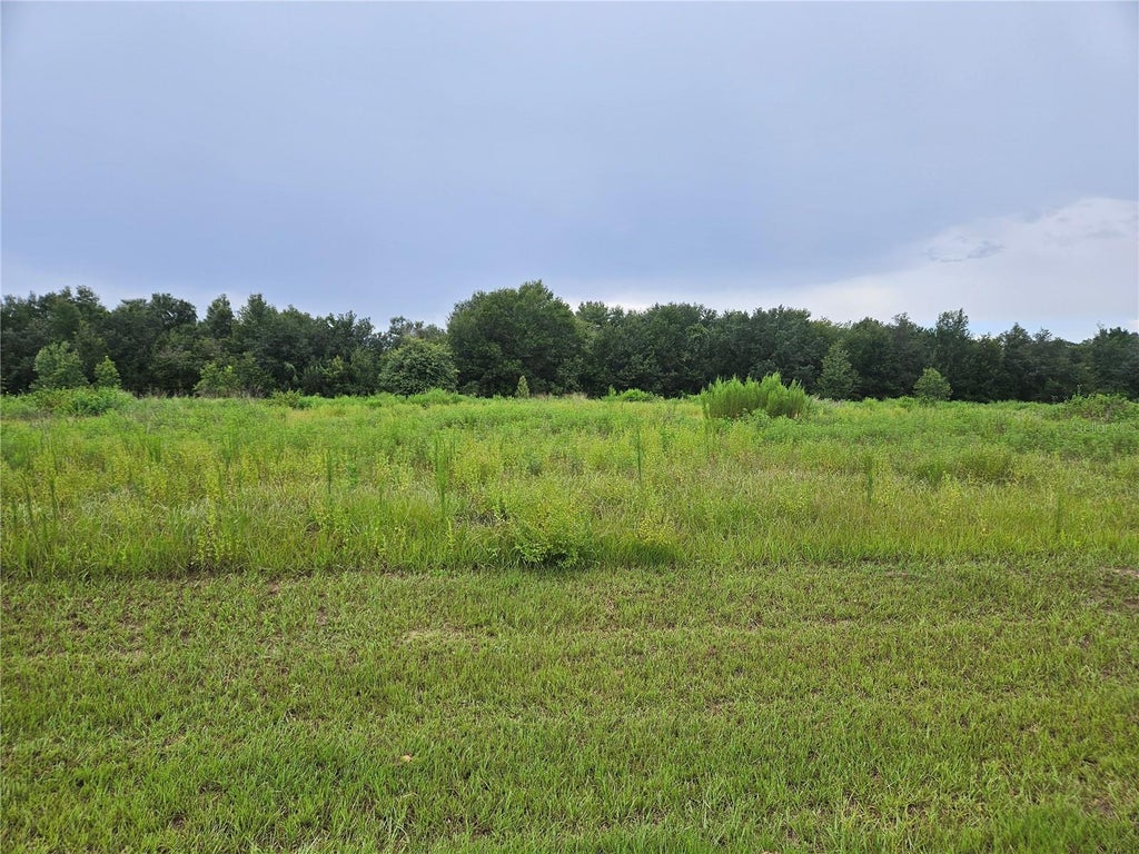Photo of 8881 Valerie Court, Zephyrhills, FL 33540 (MLS # TB8542821)