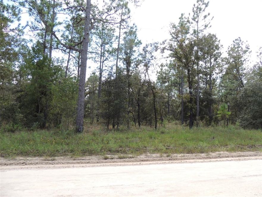 CHECK OUT THE BEAUTIFUL 1 ACRE CORNER LOT!! Nice trees, oaks and pines, perfect for your home in the country! Site-built or manufactured home and room for your pets. This 1 acre lot is about 210' x 210' plenty of room for your barn too! Same owner has adjacent 1 acre also for sale. Just minutes to Williston, and about 30 minutes to Gainesville, shopping, Ocala, WEC and plenty more! Just 1 block off paved road NE 140th Ave.