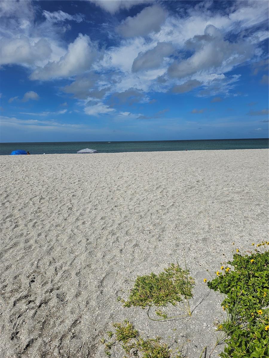 SAN MARCO - Residential Lease