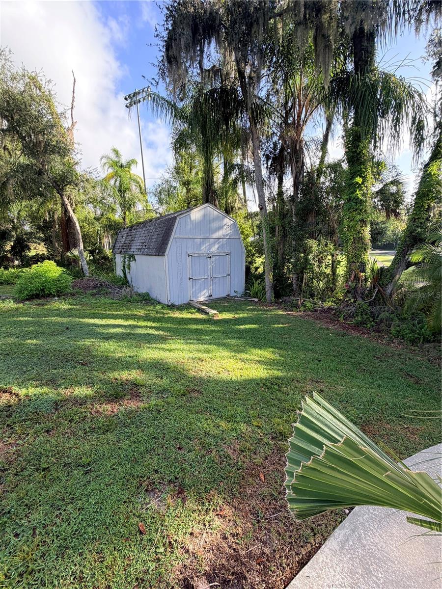 MOUNT DORA - Residential Lease