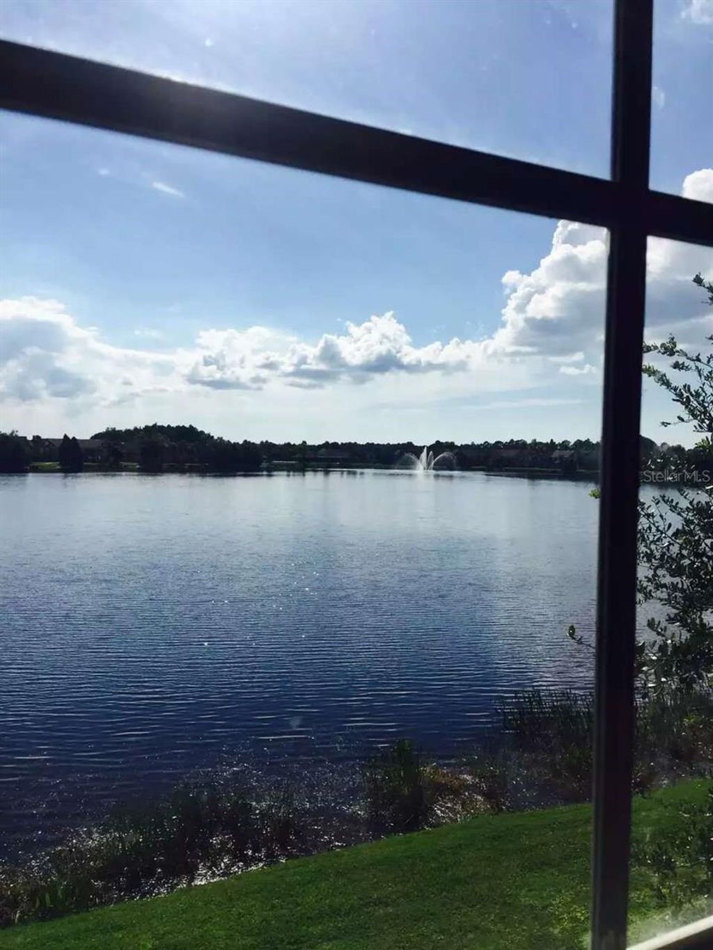 Photo of 9020 Lake Chase Island Way #9020, Tampa, FL 33626 (MLS # TB8511849)