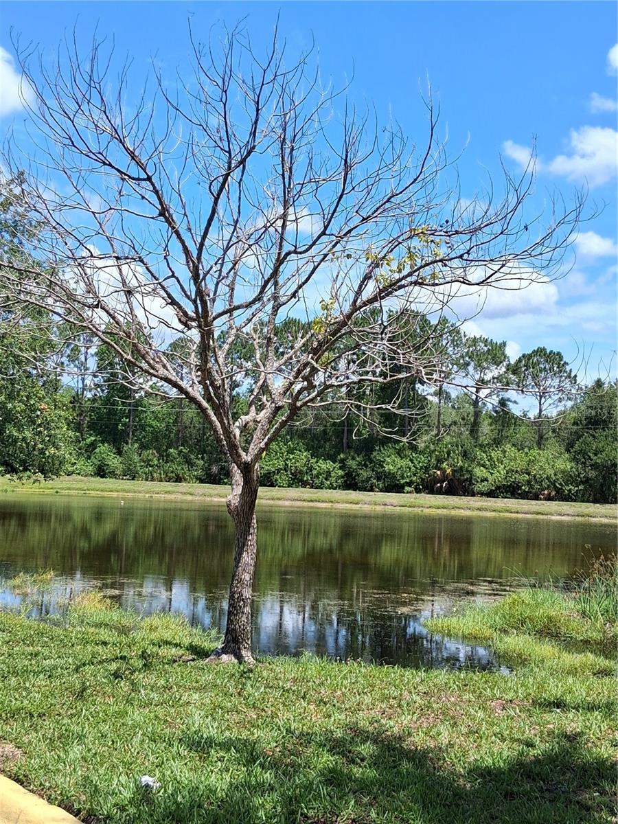 LAKE CHASE CONDO - Residential