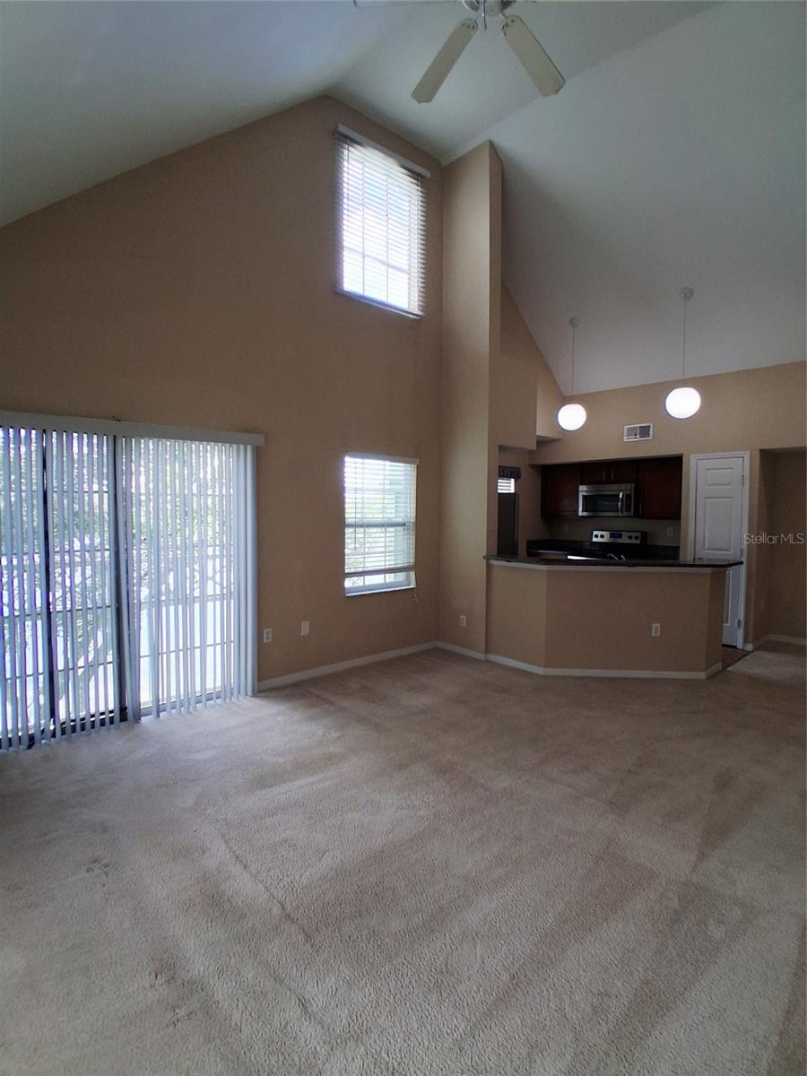 LAKE CHASE CONDO - Residential