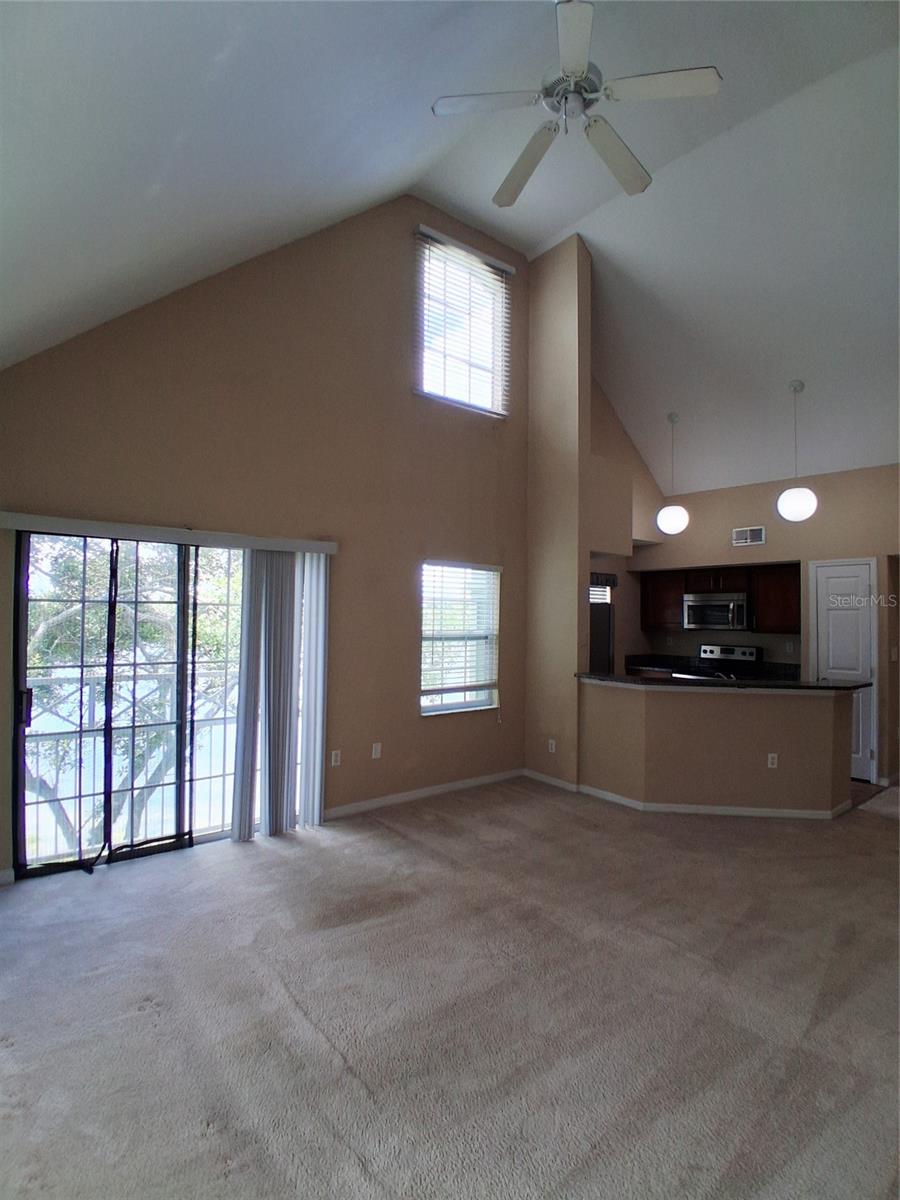 LAKE CHASE CONDO - Residential
