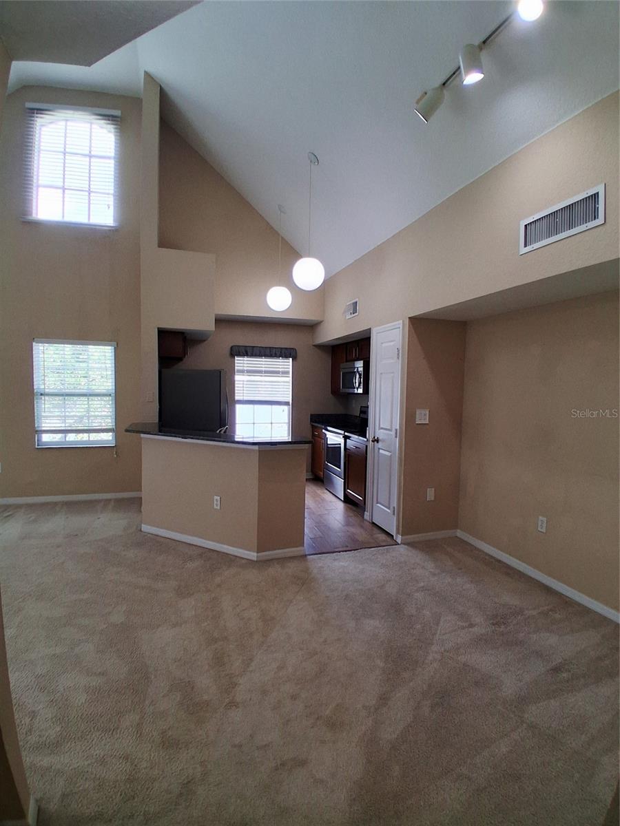 LAKE CHASE CONDO - Residential