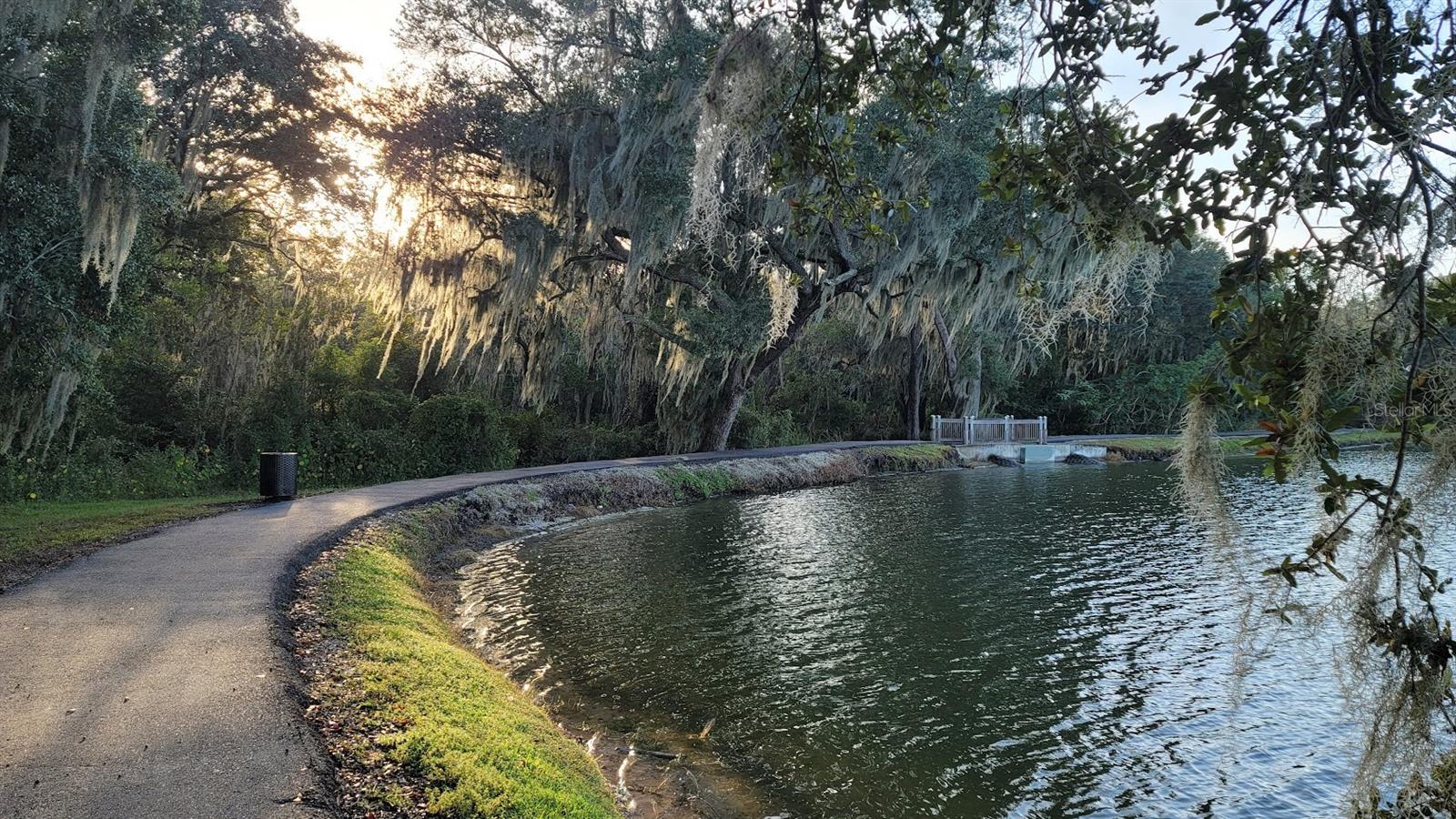 LAKE PRESERVE PH 1 - Residential