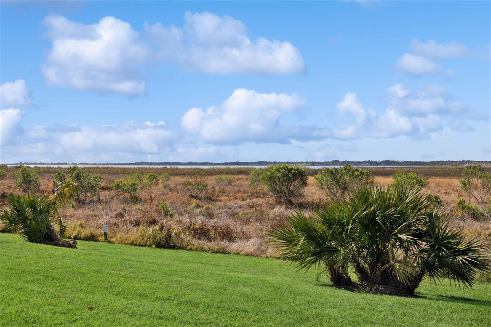 LAKESHORE AT NARCOOSSEE PH 3 - Residential