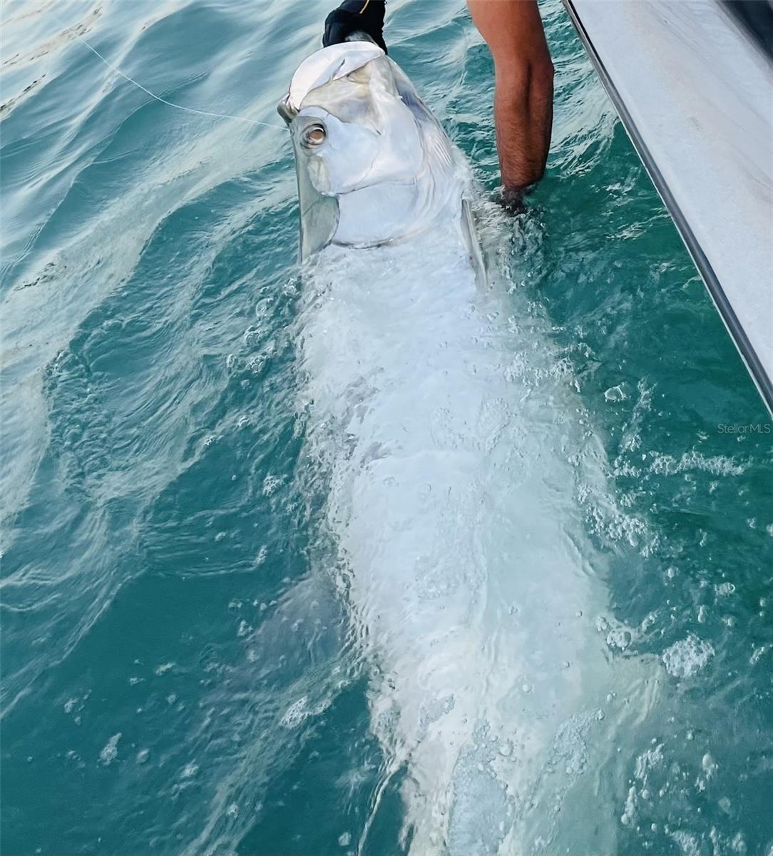 PORT CHARLOTTE SEC 95 02 - Residential