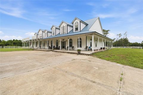 Photo of 31243 Bear Pond Drive, Sorrento, FL 32776 (MLS # O6417163)