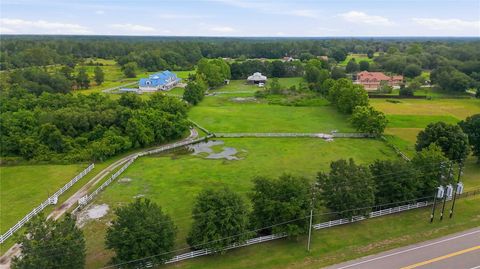 Tiny photo for 31243 Bear Pond Drive, Sorrento, FL 32776 (MLS # O6417163)