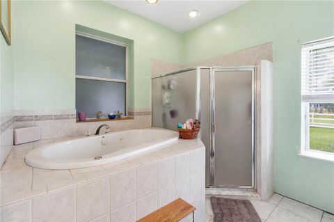 Tiny photo for 31243 Bear Pond Drive, Sorrento, FL 32776 (MLS # O6417163)