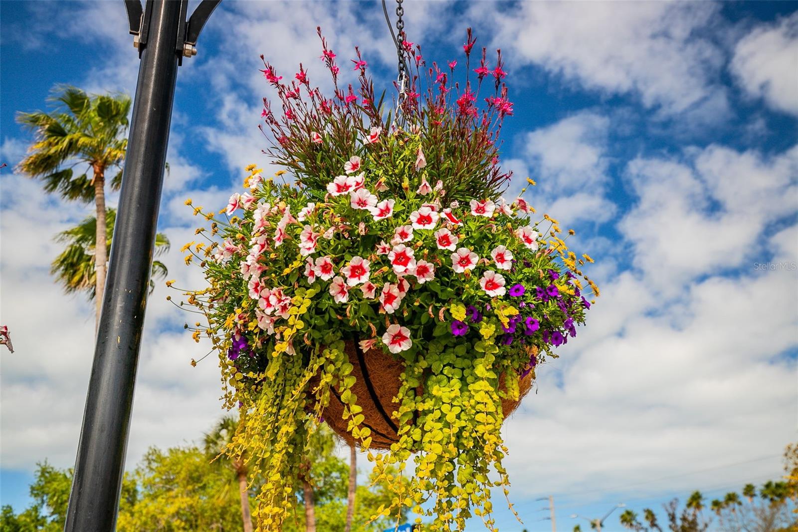 BELLA MILAN - Residential