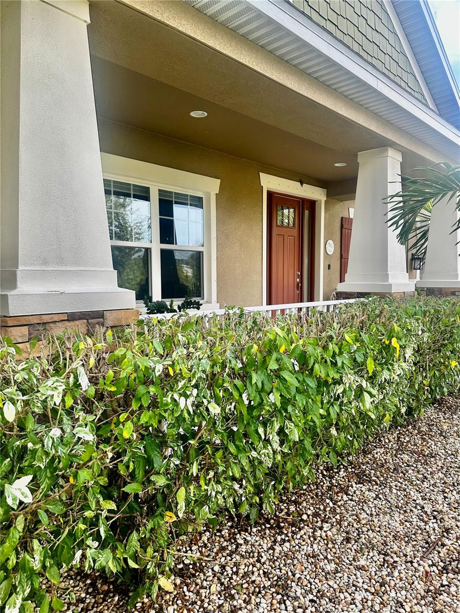 ARBOR OAKS - Residential