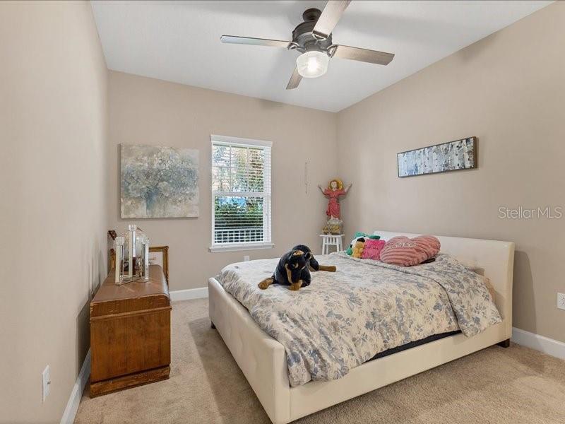 ARBOR OAKS - Residential