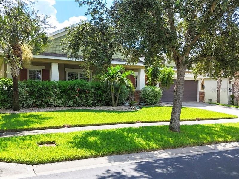 ARBOR OAKS - Residential