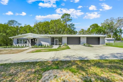 311 GRIFFIN VIEW DRIVE LADY LAKE FL 32159