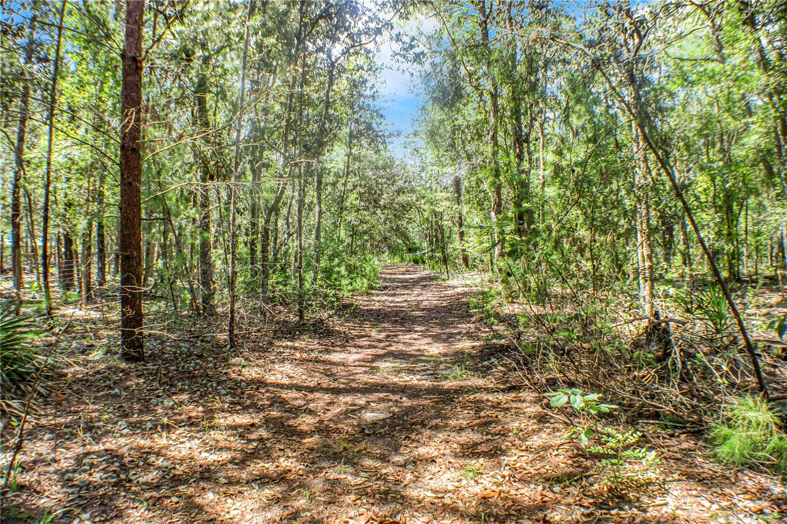 Unlock the possibilities with this .38-acre plot of uncleared land, a true blank canvas awaiting your vision! Tucked away amidst mature trees, this property offers a unique opportunity to design and build your dream home exactly as you envision it. Imagine crafting a custom residence with a sprawling backyard, or creating a private oasis surrounded by nature. This parcel provides the perfect foundation for a personalized haven, offering the freedom to bring your dreams to life. Don't miss the chance to create something truly special on this untouched piece of land!