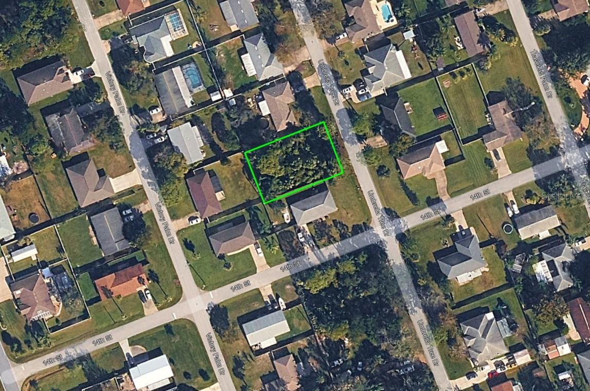 1328 UMBRELLA TREE DRIVE