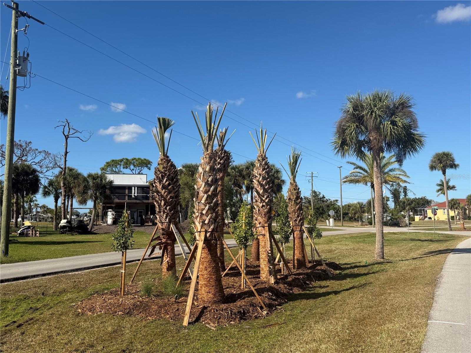 PIRATE HARBOR - Land