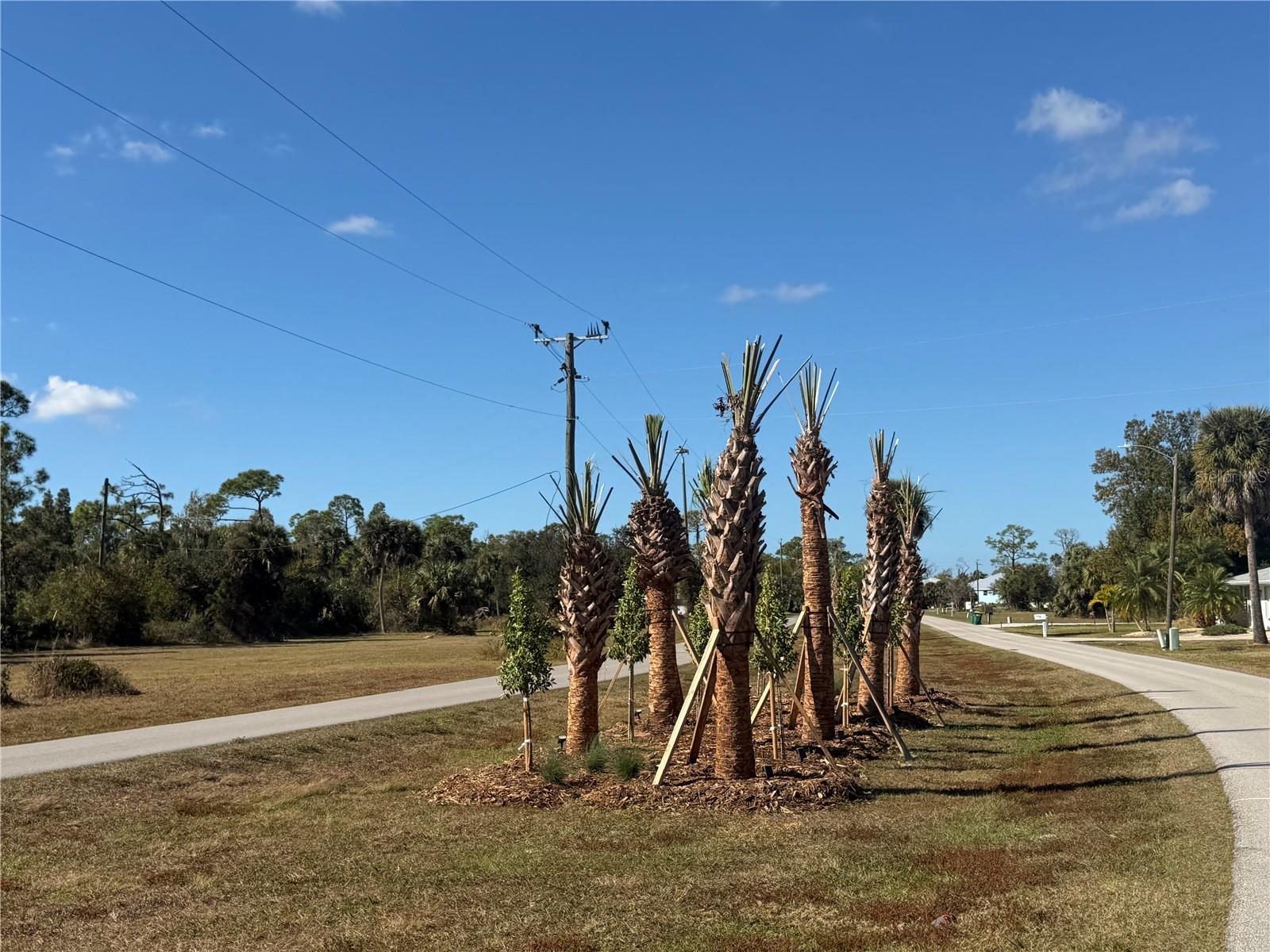 PIRATE HARBOR - Land