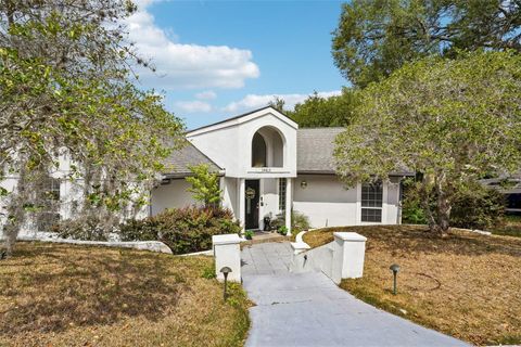 Photo of 34415 Kingfish Street, Fruitland Park, FL 34731 (MLS # G5110365)