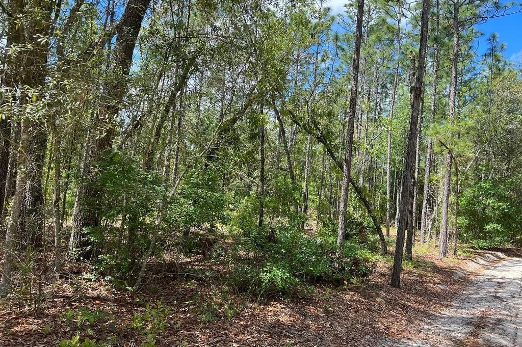 Photo of 0000 Lady Bug Lane, Melrose, FL 32666 (MLS # A4698672)
